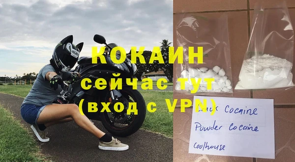 крисы Белая Холуница