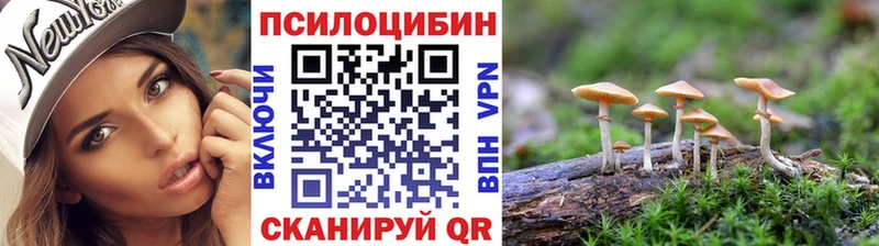 Псилоцибиновые грибы мицелий  наркошоп  гидра   Лыткарино 