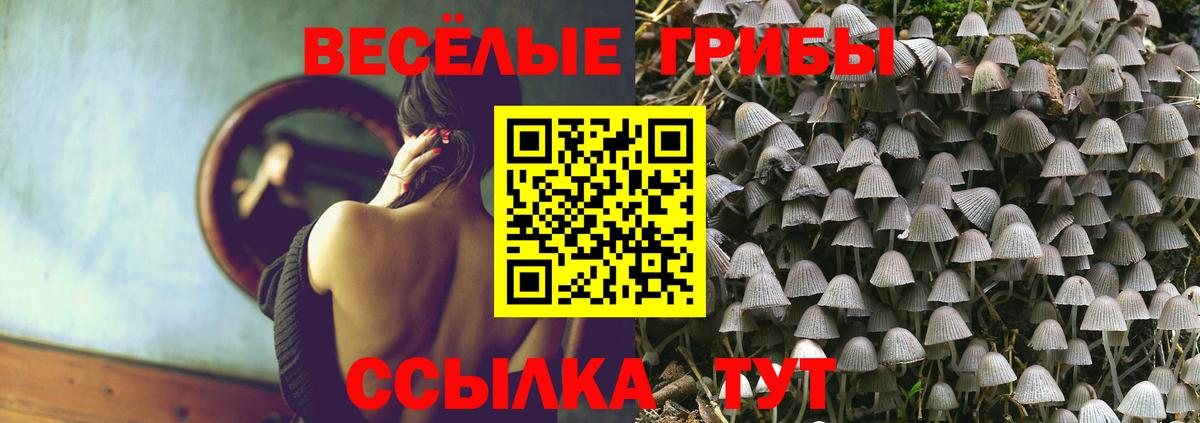 Лыткарино  Галлюциногенные грибы мухоморы  Галлюциногенные грибы мухоморы  Вход с VPN 
