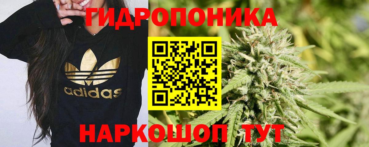 Лыткарино  Бошки Шишки индика  Вход с VPN  Бошки Шишки гибрид 